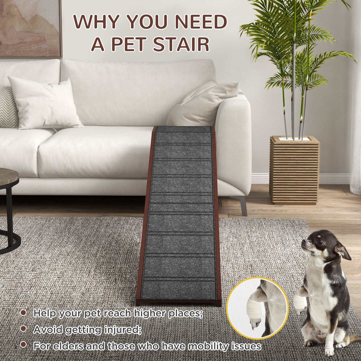SafeStep Canine Ramp with Carpet & Platform