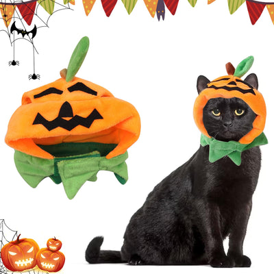Pumpkin Pals Pet Halloween Hat