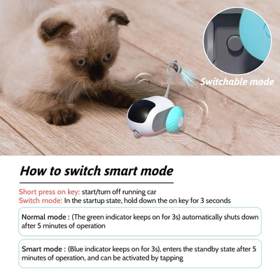 AutoPlay Pet Chase Car