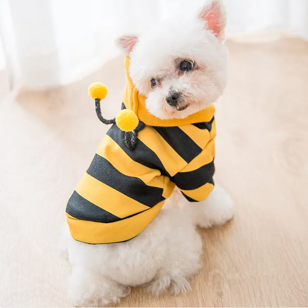 Dog Bee Halloween Costume