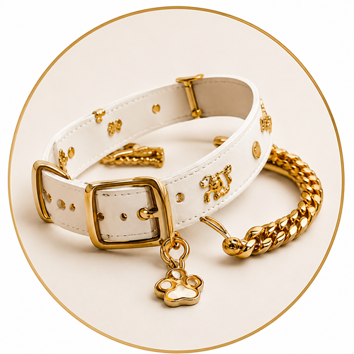 COLLARS & LEASHES