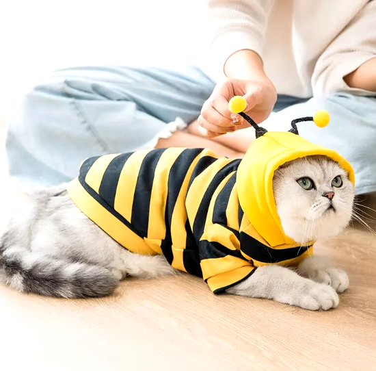 Dog Bee Halloween Costume
