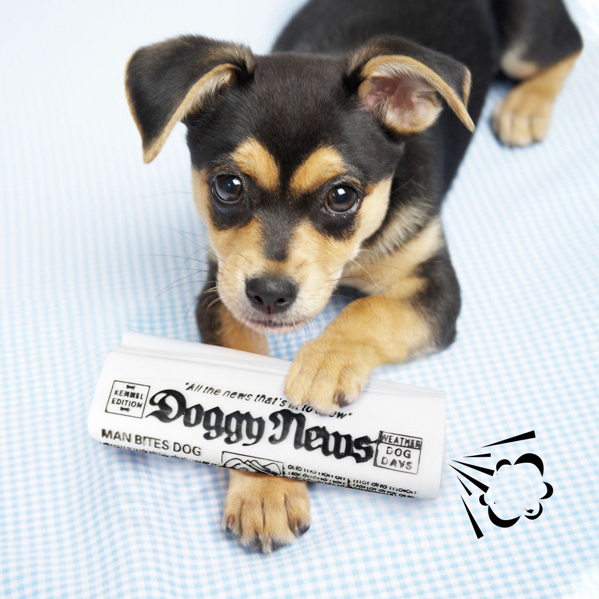 Squeaky Dog Toy for Chewing and Training