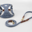 Adjustable Small Dog Harness Teddy Cute Pet Supplies