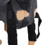 Dog Knee Brace and Leg Protector for Injury Recovery
