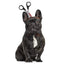 Tricky Props Halloween Pet Headdress Hat