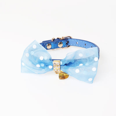 Bright Colors Dog Collar