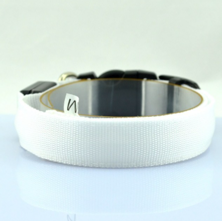 Luminous Fluorescent Dog Collar for Pet Supplies