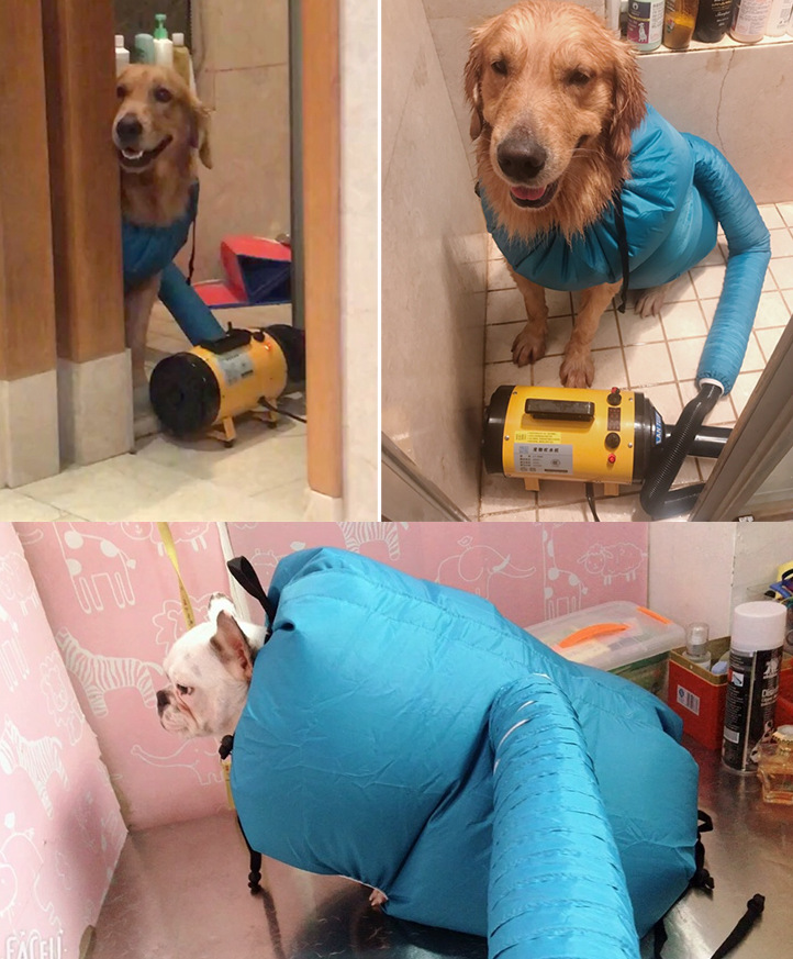 Pet Drying Cube: Dryer & Bag