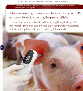 PetCare Non-Contact Thermometer