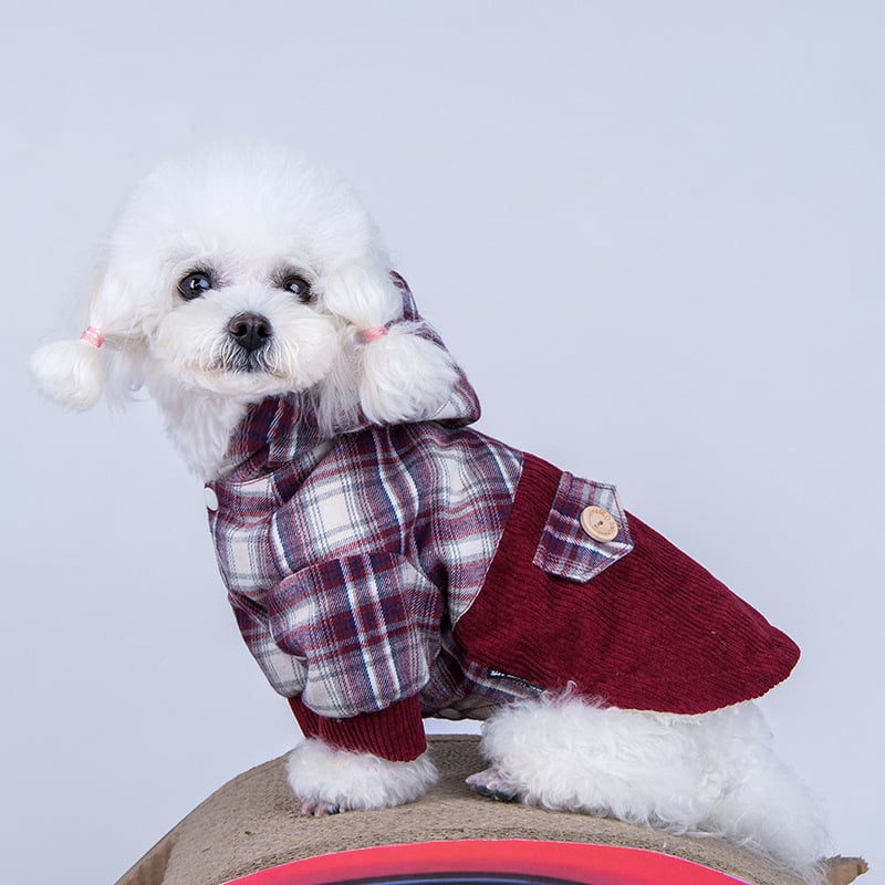 Pomeranian Cashmere Luxe Coat