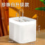 PetHydrate Automatic Water Fountain
