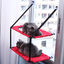 Window-Mounted Cat Hammock with Suction Cups (Single/Double)