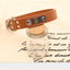 Personalized Dog Collar - Pet Accessories