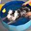 Pet Supplies, Foldable Swimming Pool