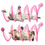 Pink Dual Pack Foldable Cat Tunnels