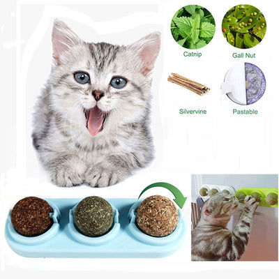 Rotating Catnip Lick Ball
