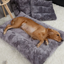Plush Pet Bed
