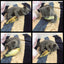 Toy Electric Fish for Cat Entertainment