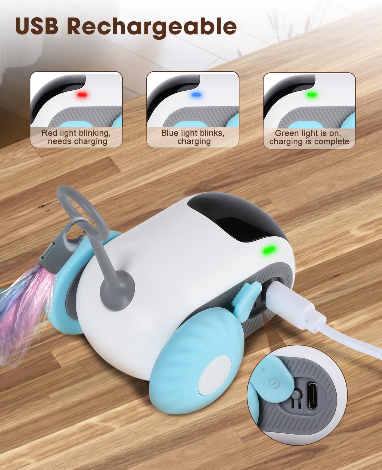 AutoPlay Pet Chase Car