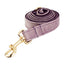 Chic Velvet Pet Collar