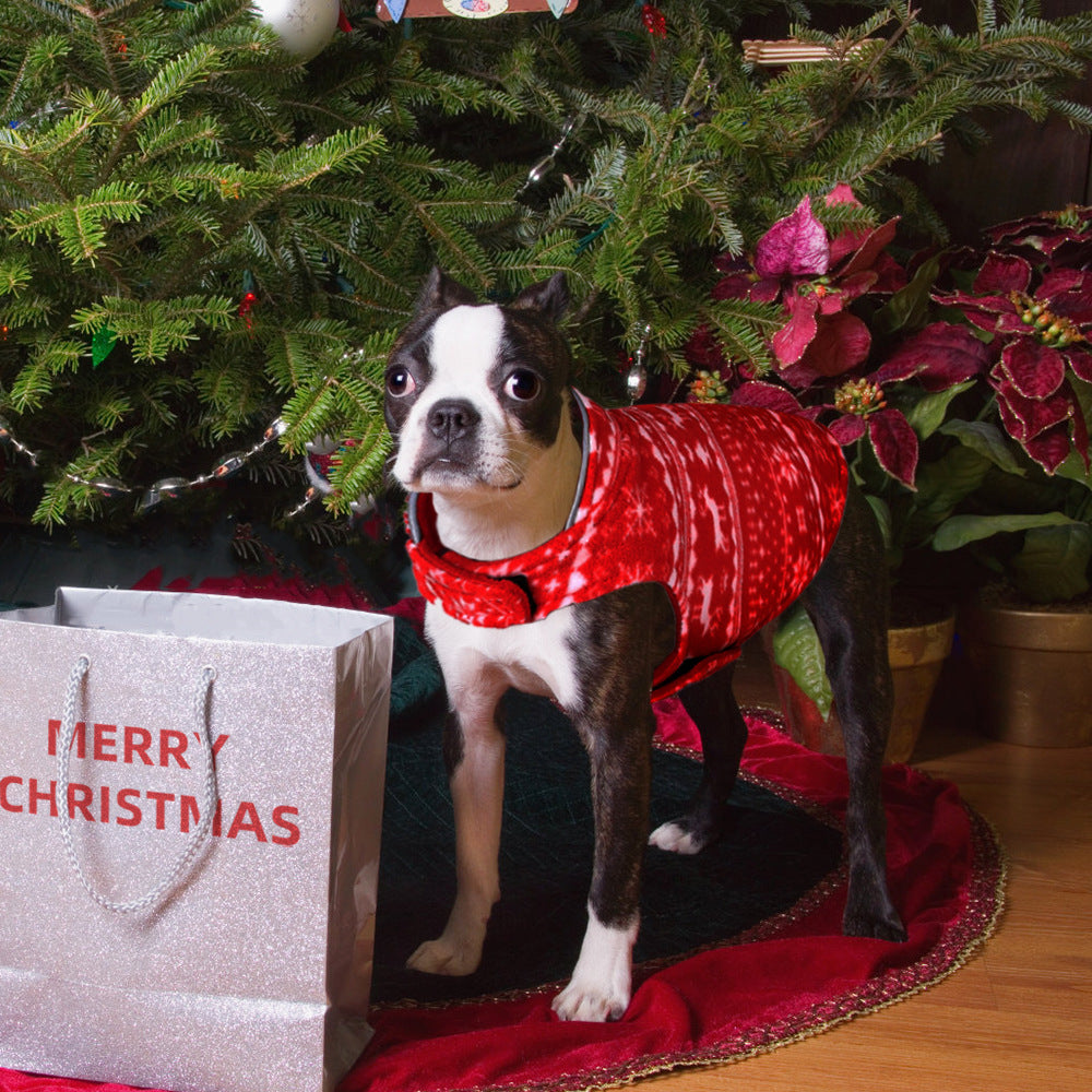 Winter Christmas Sweater for Small Dogs and Puppies