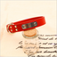 Personalized Dog Collar - Pet Accessories