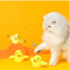 Automatic Electric Duck Cat Toy