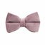 Chic Velvet Pet Collar