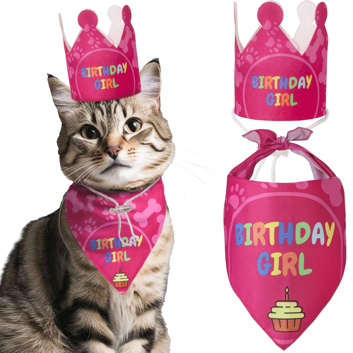 Pink Purrfect Cat Birthday Party Kit