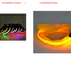 LED Dog Leash with Fluorescent Dog Collar