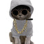 TrendyPet 3Pcs Cool Hoodie Kit