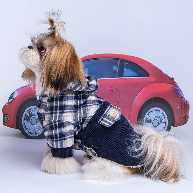 Pomeranian Cashmere Luxe Coat