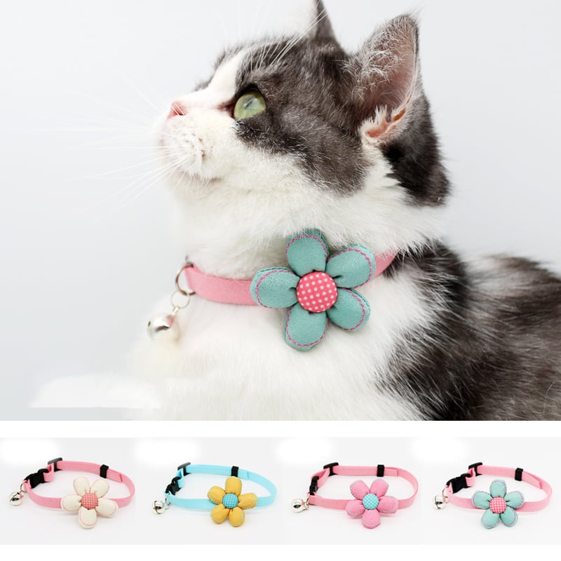 Petite Floral Pet Bell Collar