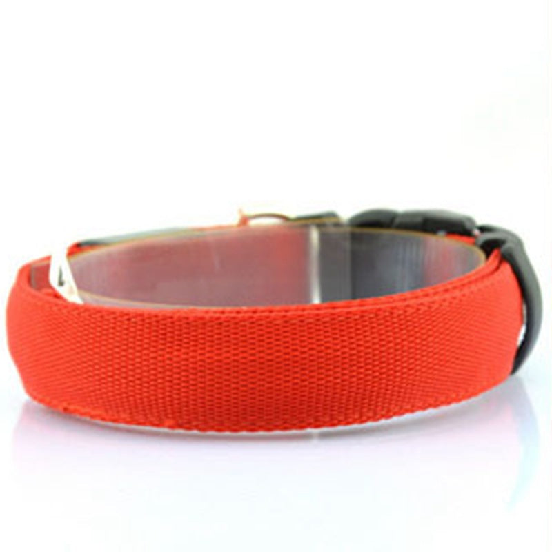 Luminous Fluorescent Dog Collar for Pet Supplies