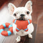 Dog Chew Toys for Puppies - Durable Pet Supplies