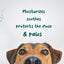 PurePaws Healing Balm, 0.9 oz