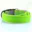Luminous Fluorescent Dog Collar for Pet Supplies