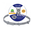 Simple Silicone Pet Collar for Flea Repellent