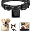 PetView Mini Camera Collar