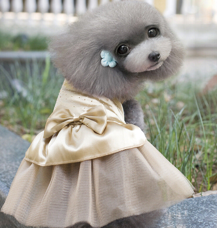 Pet Gala Dress Collection