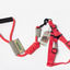 Pet Leash Set for Small Dogs and Cats with Collar
