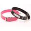 Personalized Dog Collar - Pet Accessories