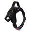 Medium and Large Dog Collar for Pet Supplies
