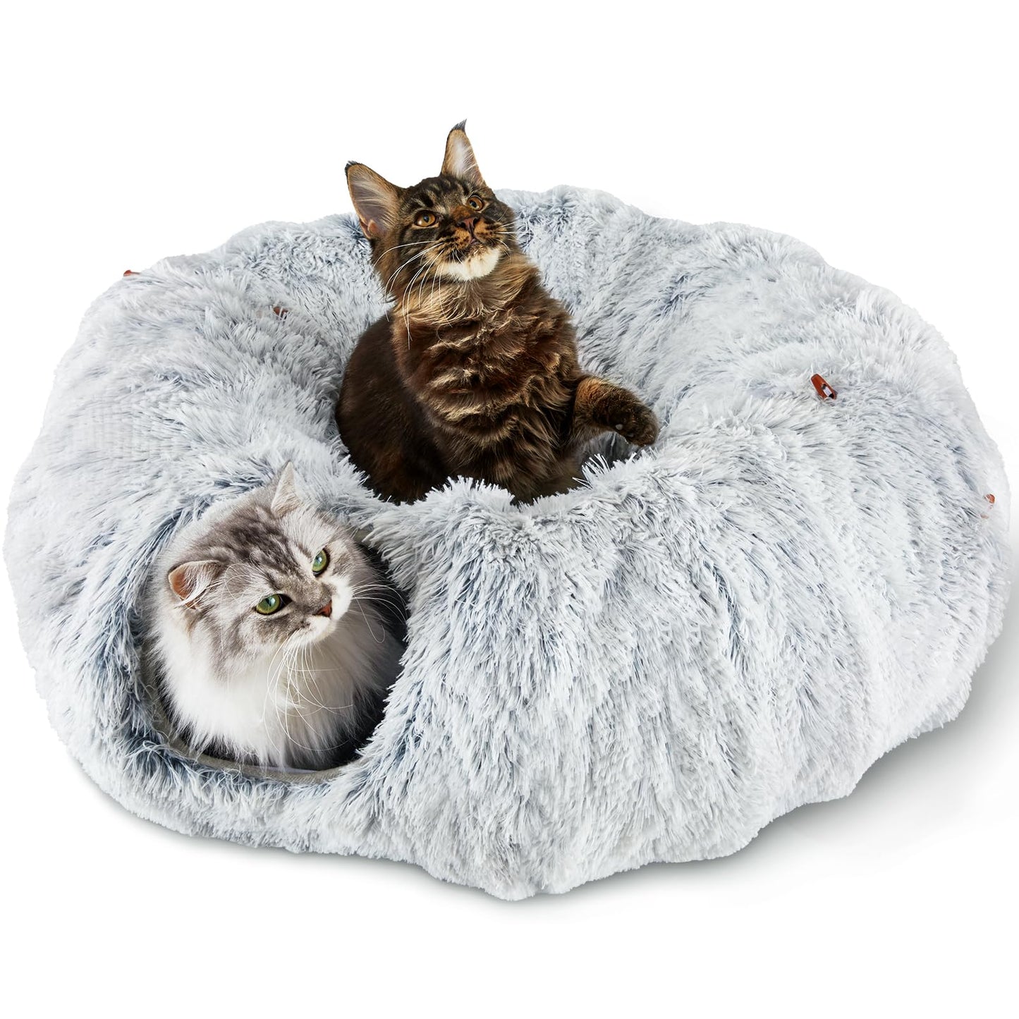 Double Duty Cat Tunnel and Cushioned Bed