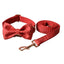 Red Dot Dog Leash and Collar Pet Supplies