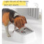 Floating Pet Water Bowl