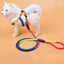 Colorful Nylon Round Dog Rope for Pet Supplies