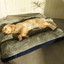 PurrClean Washable Pet Bed