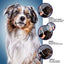 Seresto Flea & Tick Collar for Dogs
